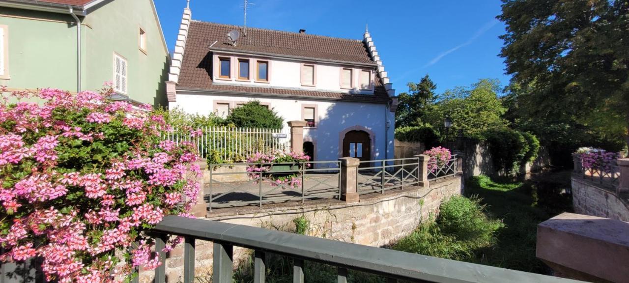 Le Cocon Du Rimbach Lägenhet Soultz-Haut-Rhin Exteriör bild